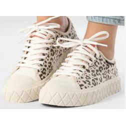 baskets palladium e26 palla ace leo