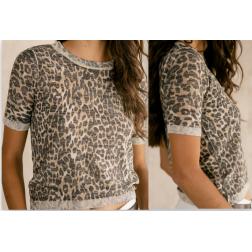 maille  freeman t porter e26 pheed leo