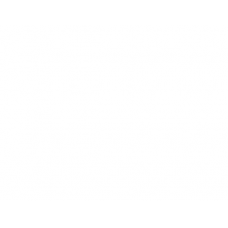 mocassin digel sander perm 