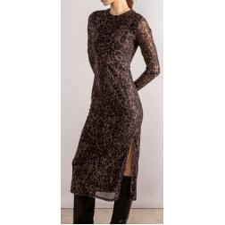 robe freeman t.porter h26 rassany roar